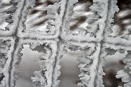 兰姆 Rime格子气象雾凇天气结晶骨针水晶冷冻气氛水蒸气图片