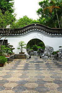 中国花园艺术园艺树木花朵天空松树生长竹子小路树叶图片