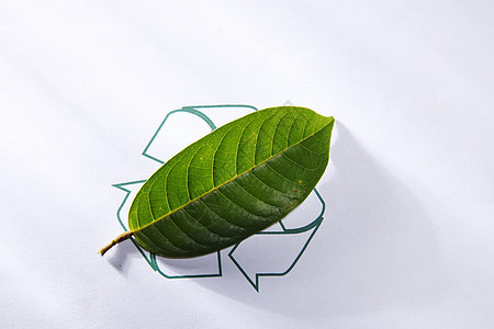再循环回收叶子标志废纸环境保护符号绿色图片