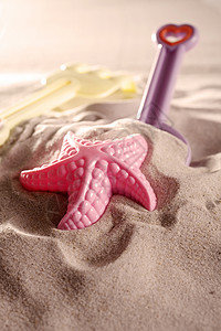 海滨玩具海星叶子沙滩桶地平线旅行凉鞋乐趣绿色热带图片