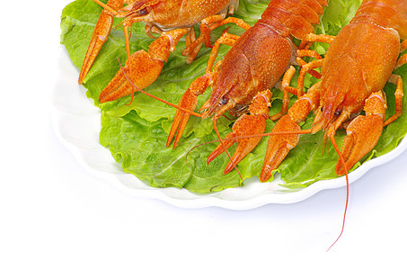 龙虾宏观美食红色午餐贝类小龙虾海鲜天线眼睛小吃图片