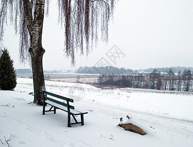 下雪时的座椅农村天气国家季节场景木头森林休息座位图片