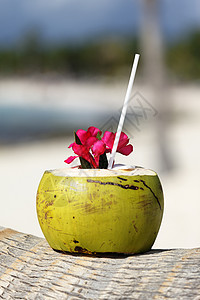 椰椰子饮料异国坚果可可水果晴天假期天堂海岸天空海景图片