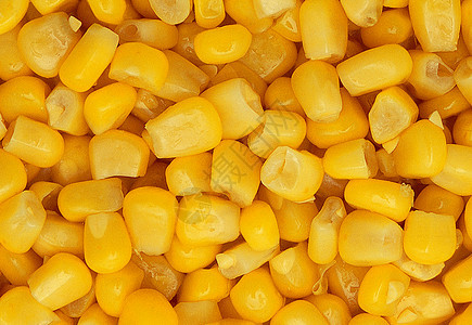 玉米背景图像图片