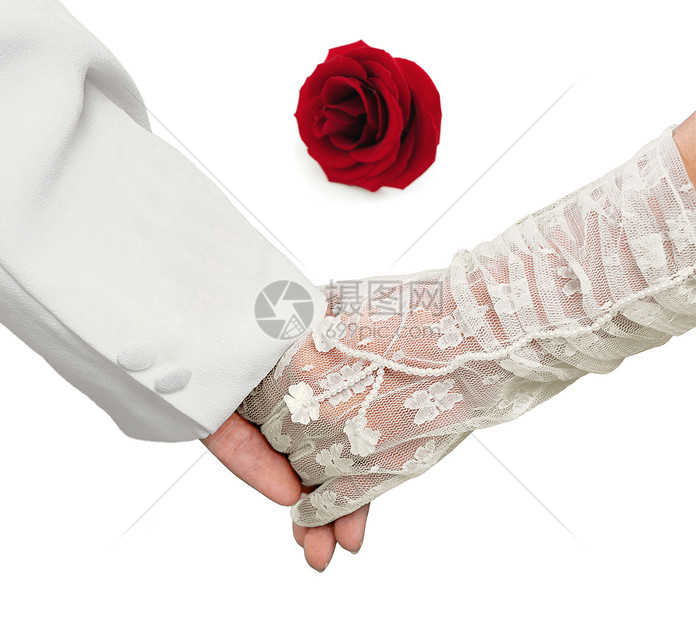 用红玫瑰握手 红色玫瑰图片
