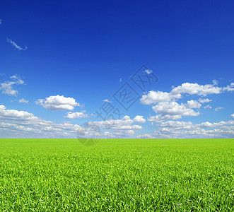 字段草地牧场农场全景阳光天气季节土地农业天空图片