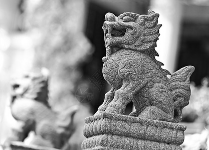中国狮子雕像装饰品青铜异国力量传统建筑学宗教宝塔监护人博物馆图片
