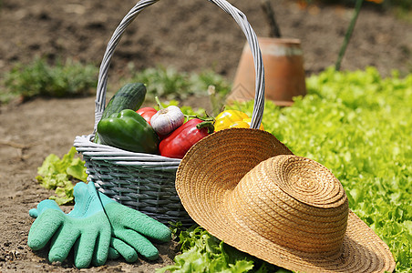 花园菜蔬菜柳条土地靴子环境手套收成乡村草帽文化绿色图片