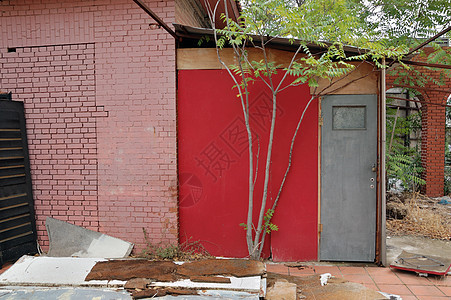 建筑和树木瓦砾恶化碎片苦恼废弃衰变勘探房子废墟分支机构图片