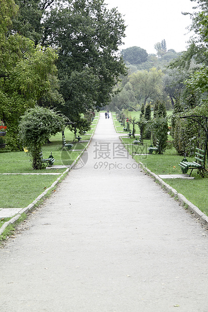 公园街车道小路风景树叶季节天篷分支机构远足森林地毯图片