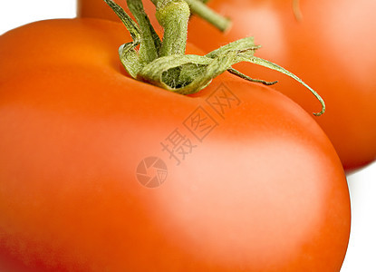红番茄 背景上还有西红柿图片