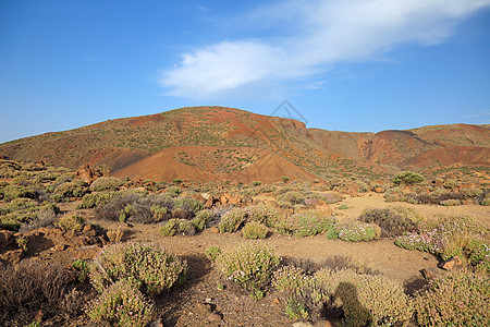 特纳里夫岛加那利火山的火山景观图片