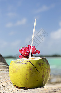 海滩上的椰子阳光海洋水果坚果天堂蓝色太阳茶点旅游晴天图片