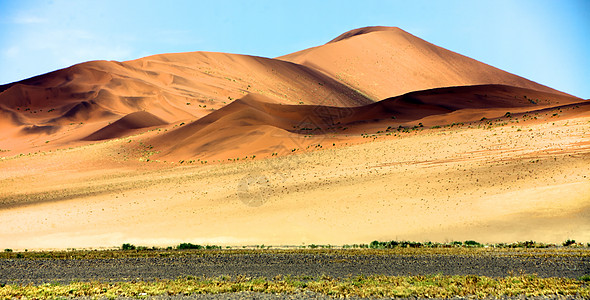 纳米布努克卢夫国家公园的红沙丘图片