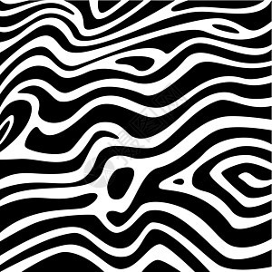 斑斑色纹理黑白动物园丛林野生动物插图条纹斑马皮肤动物群材料白色图片