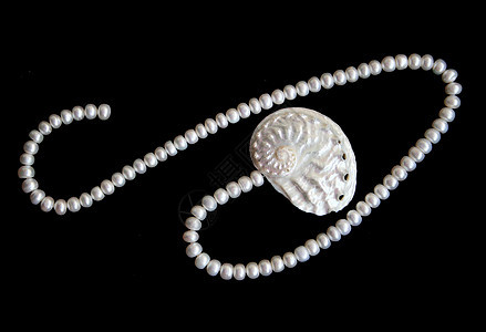 白珍珠和雀斑壳细绳丝绸婚礼宝石珍珠光泽度价值观手镯奢华项链图片