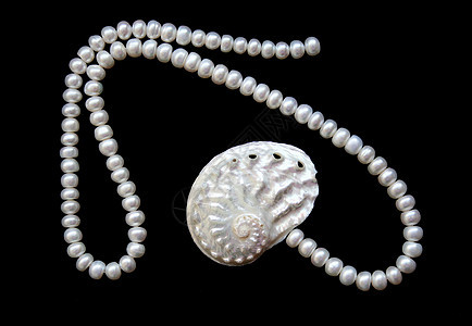 白色珍珠和黑色天鹅绒上的雀斑壳价值观魅力奢华展示宝藏宝石礼物手镯细绳反射图片