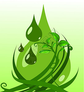 带水滴的绿叶电路绿色植物生态床单卡片居住植物群插图叶子背景图片