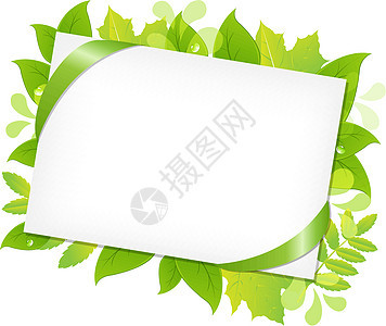 绿叶和空白礼品标签图片