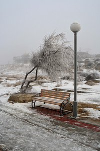 法官气候下雨薄雾木头季节人行道温度寒冷座位苍凉图片
