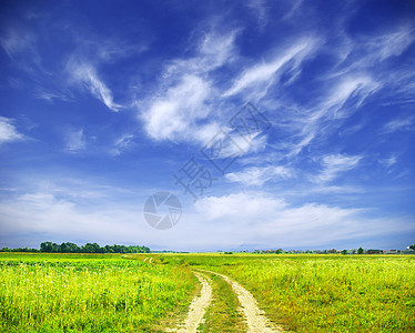 字段农业季节牧场土地农场远景地平线草地天气风景图片