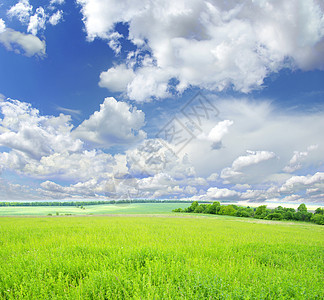 字段乡村风景牧场草地季节阳光农业场地远景农场图片