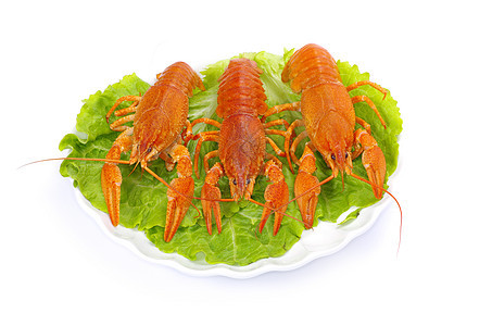 龙虾小龙虾宏观美食小吃海鲜食物淡水午餐眼睛天线图片