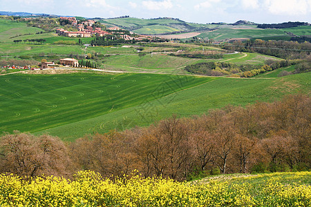 意大利 托斯卡纳地区 瓦尔德奥西亚山谷 托斯卡纳风景图片
