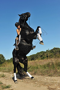 养马黑色舞步蓝色青少年动物危险盛装女士天空骑马图片