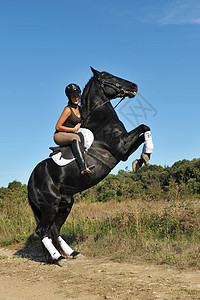 养马舞步骑马动物盛装黑色天空青少年危险女士头盔图片