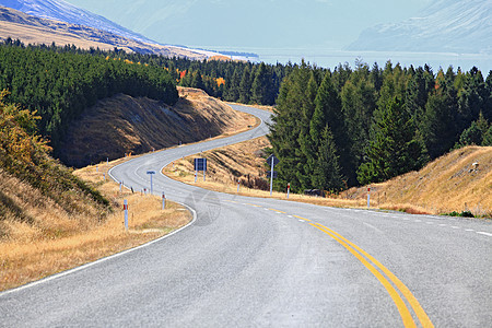 漫漫的公路国家街道季节树木曲线木头场地树叶黄色活力图片