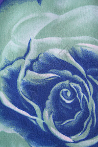 织物上玫瑰花的水彩色形态可作为背景图片