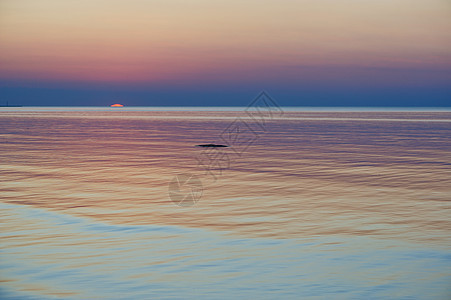 美丽的日落海岸线沿海海线支撑温泉海景海洋波纹晴天热带图片