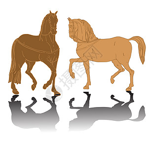 两匹马的圆影图片