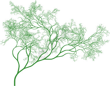 矢量树植物叶子插图模版植物学季节花园绘画季节性生长背景图片
