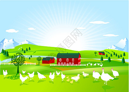家禽农场栅栏牛奶财产公鸡场地鸭子太阳房子树木村庄图片