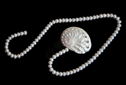 白珍珠和雀斑壳丝绸价值观项链魅力婚礼珠子珠宝细绳首饰手镯图片