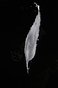 飞溅流动水滴奶制品牛奶液态黑色白色洗澡奶油运动图片