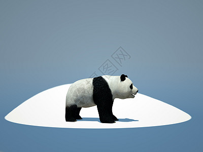 保护地球地球插图熊猫环境竹子白色动物园生态回收生态学家电脑图片
