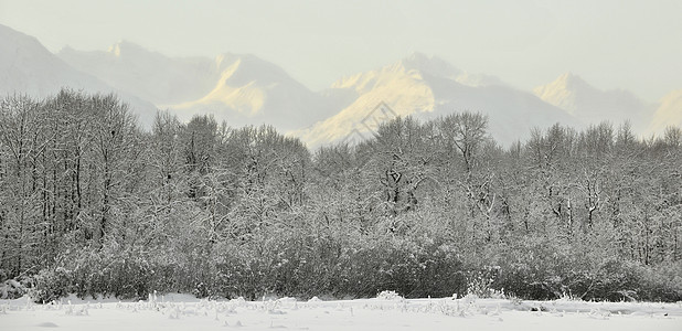 日落时雪雪山野生动物天气全景季节假期风景天空山脉童话顶峰图片