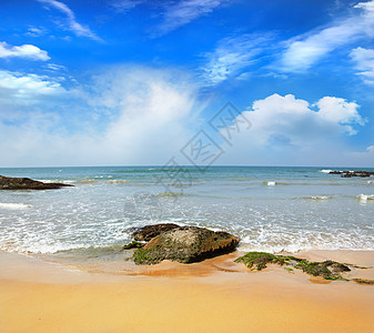 海洋海岸海浪中的石头阳光旅行运动反射风景海岸线波纹海滩蓝色沿海图片