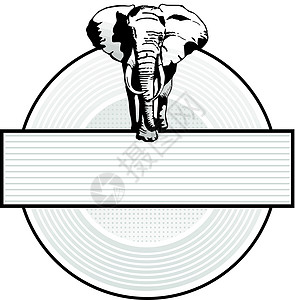 大象标志野生动物白色荒野淀粉獠牙贴纸动物力量动物园生命力图片