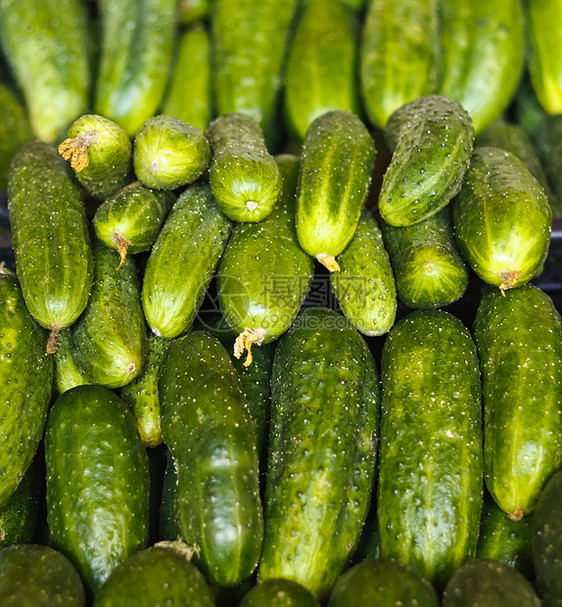 在市场上销售的黄瓜蔬菜植物食物绿色饮食团体银行收成图片