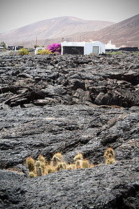 兰萨罗特岛 地貌 水下岩石石头火山山脉街道村庄海岸海滩指南海鸥背景图片