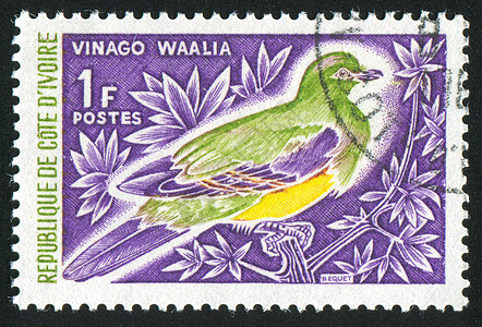 绿鸽邮件历史性野生动物古董羽化羽毛翅膀枝条鸽子尾巴图片