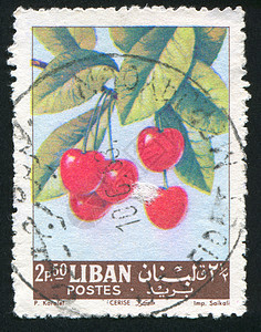 樱桃植物学邮票植物群集邮收成邮件历史性枝条植物水果图片