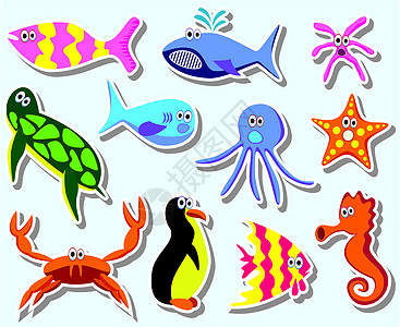 一组多彩海动物矢量图片