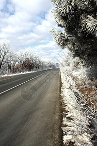 冬季公路天气树木旅行运输森林季节白色驾驶风景天空图片