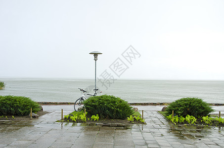 露雨自行车灌木走完后在湖边公园附近图片