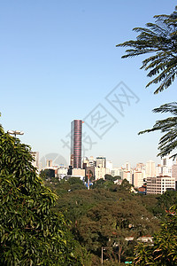 查看圣保罗建筑市中心天空城市场景首都风景建筑物中心绿色图片